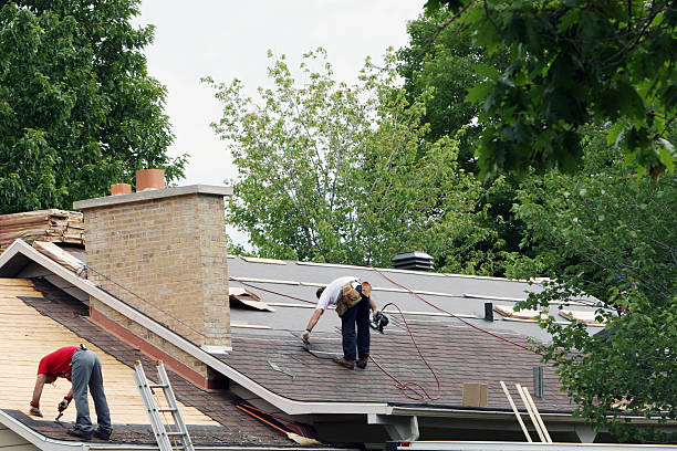 Best Roof Repair Services  in Crosby, ND